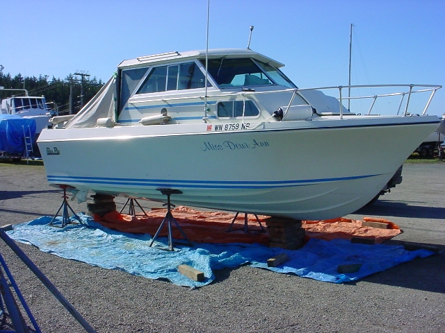 DSC00443_0.JPG
